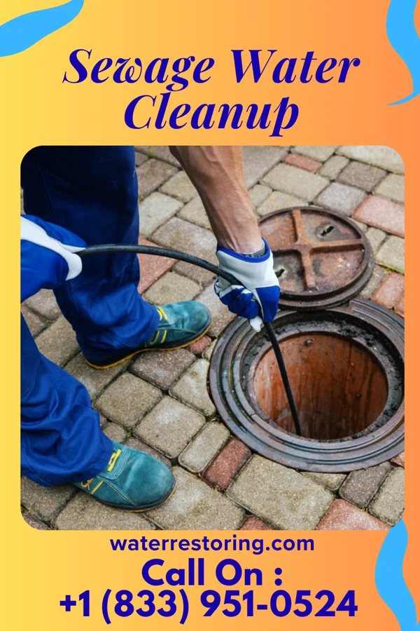 Sewage Water Cleanup in Washington Crossing, NJ