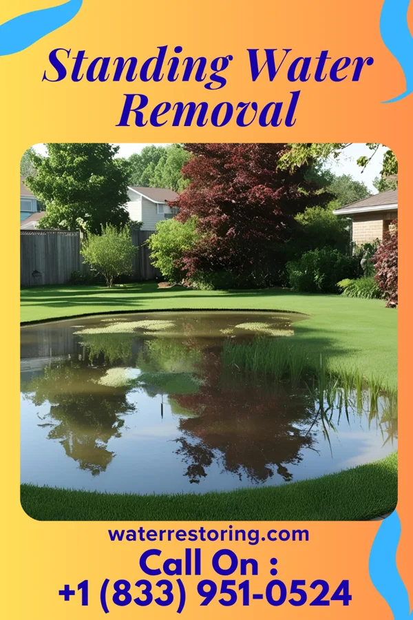 Standing Water Removal in Washington Crossing, NJ